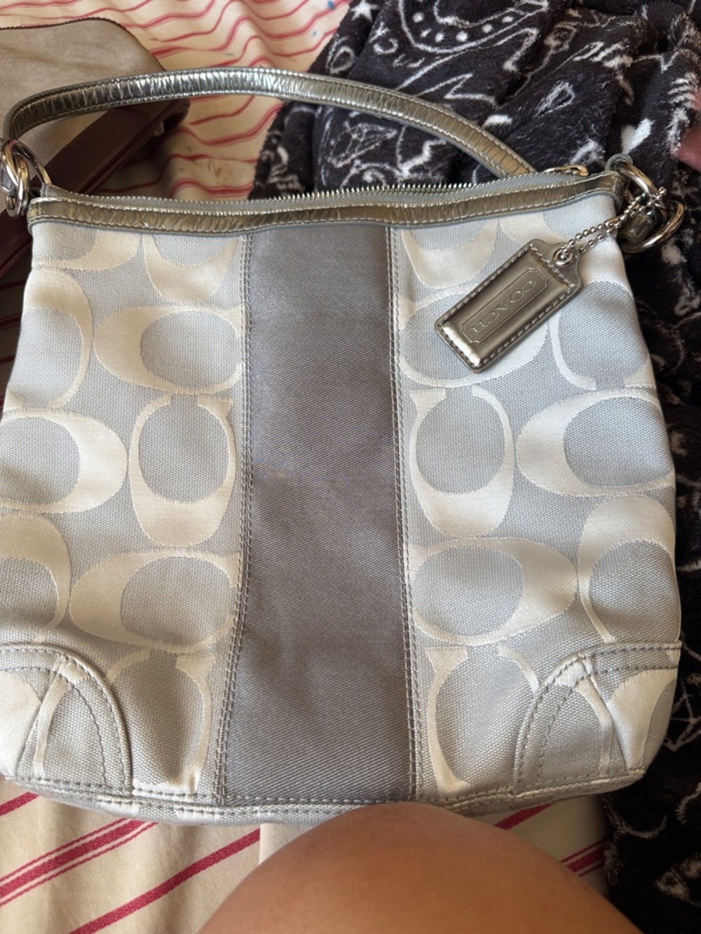 Coach Silver & Light Gray Signature Shoulder Bag
